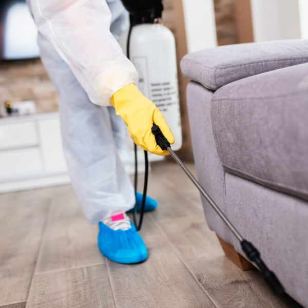 deratizacia-plostic-bratislava-topclean Deratizácia ploštíc Bratislava TopClean