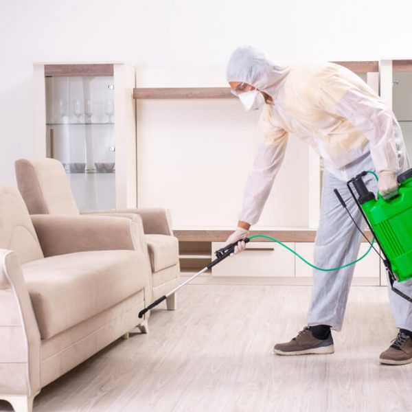 deratizer-trnava-topclean Deratizér Trnava TopClean